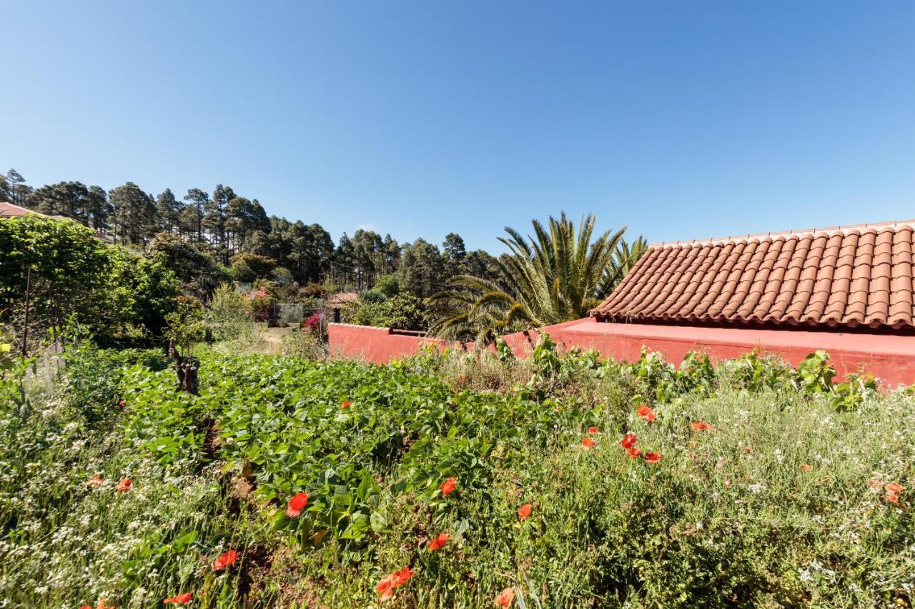 Casa Buganvillas, Reformado Puntagorda Exteriér fotografie